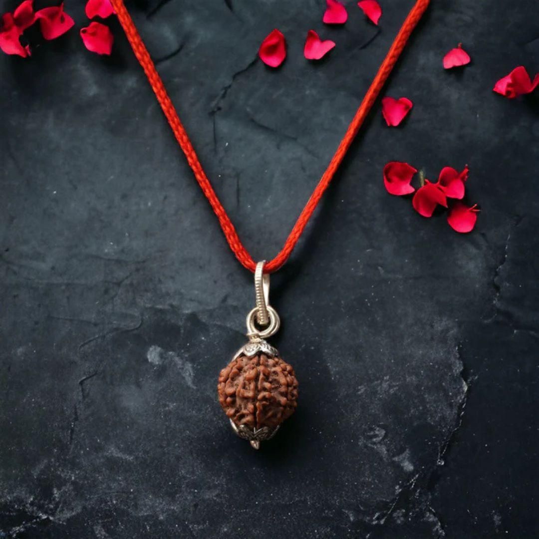 7 Mukhi Nepali Rudraksha