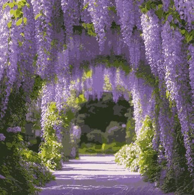 purple wisteria Cascading Beauty All Year Round