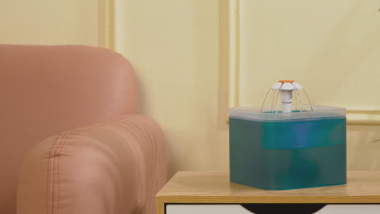 2L Small Pet Water Fountain for Kitten & Small Dogs