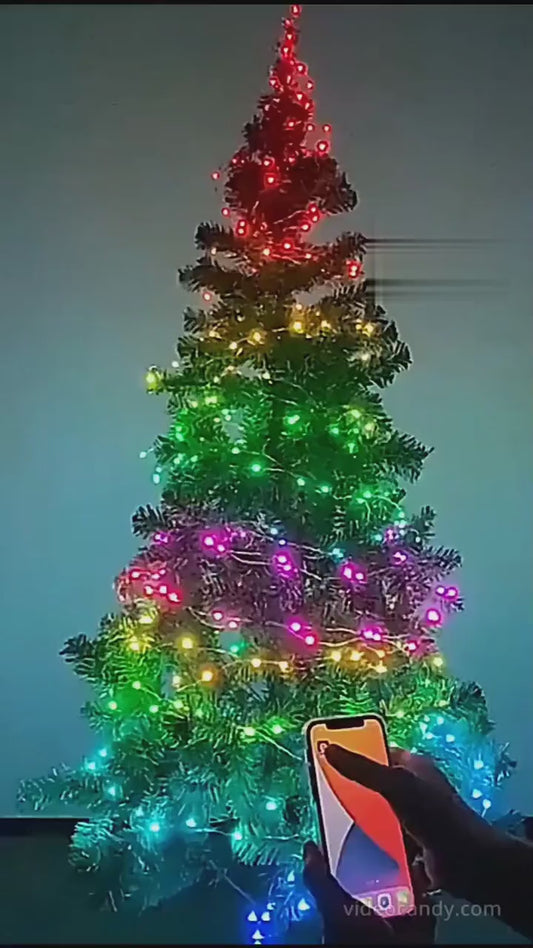 100 LED RGB Light - 10 M Multicolor String