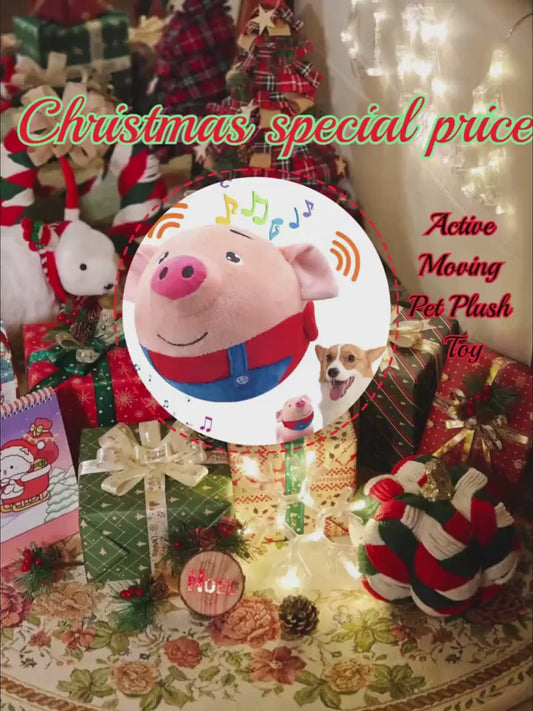 Dancing Piggy Ball Toy